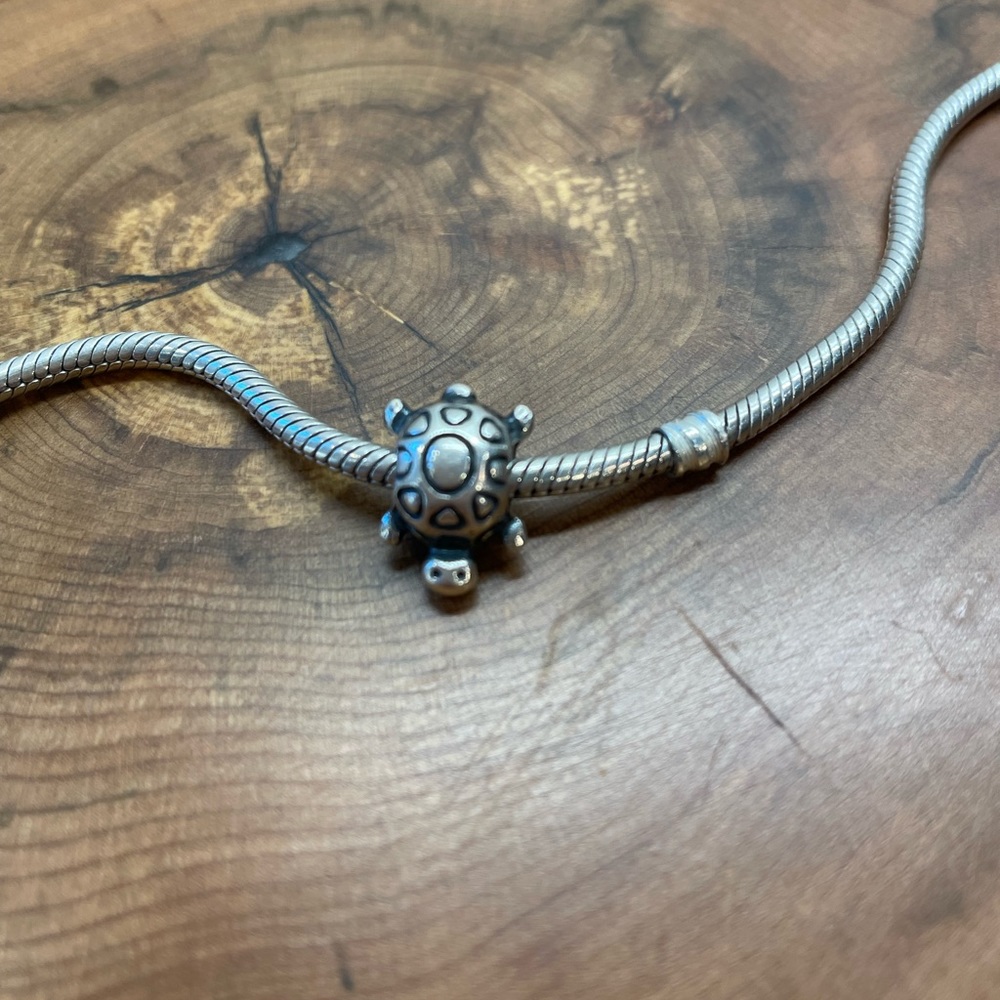 Pandora turtle charm